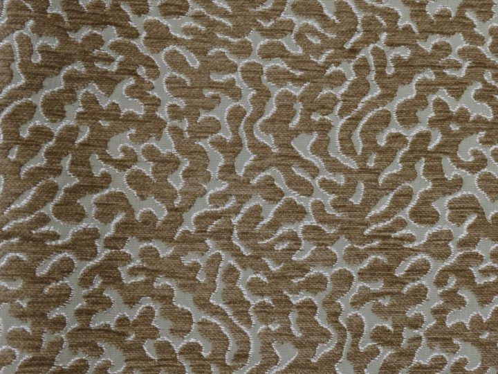 Coral 48677-026