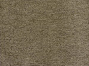 Earl 48519-026