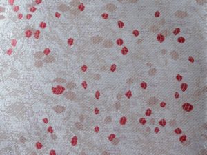 Ginger 48514-040