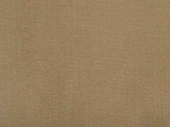 Larisa B2283-110