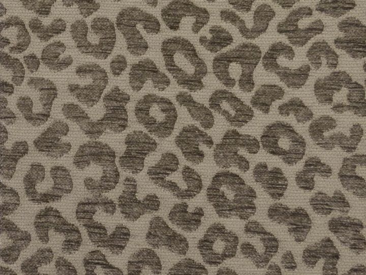 Leopard 029