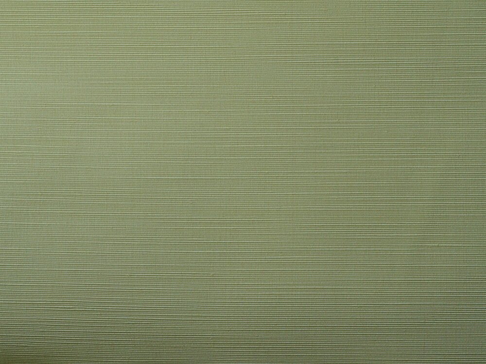 Rough Rips 04205-111