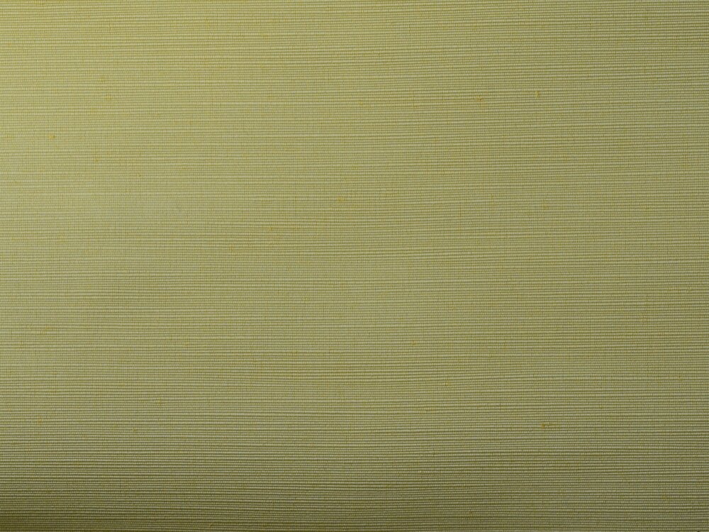 Rough Rips 04205-113