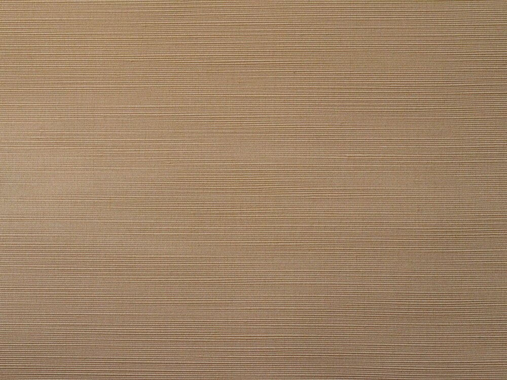 Rough Rips 04205-163