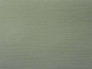 Rough Rips 04205-173