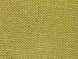 Zig Zag Baby 011