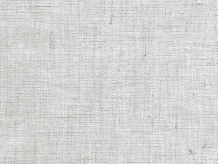 Skylight Silver F1196-01