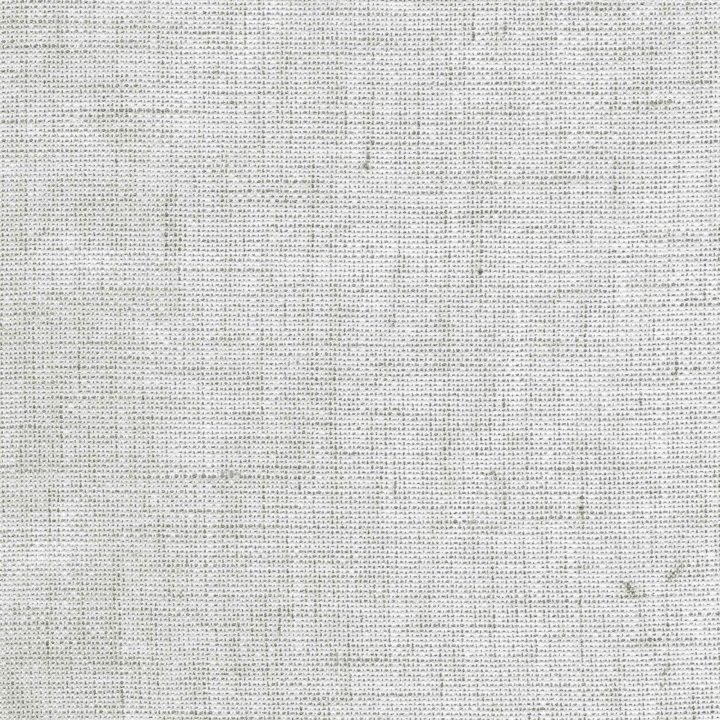 Skylight Silver F1196-01