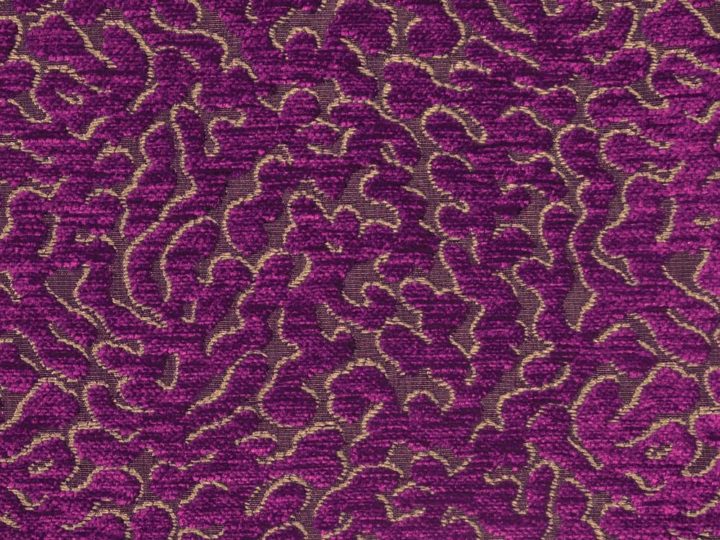Coral 48677-056