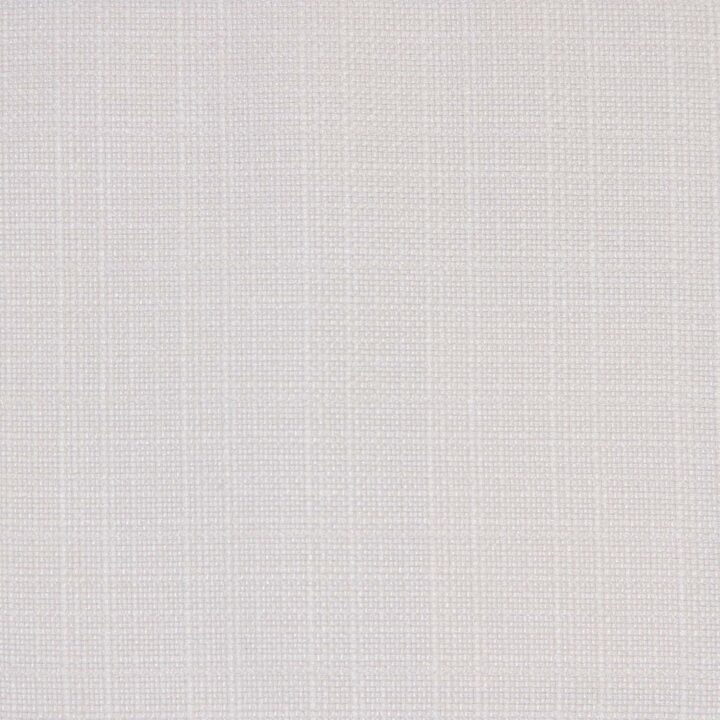 Lively 06